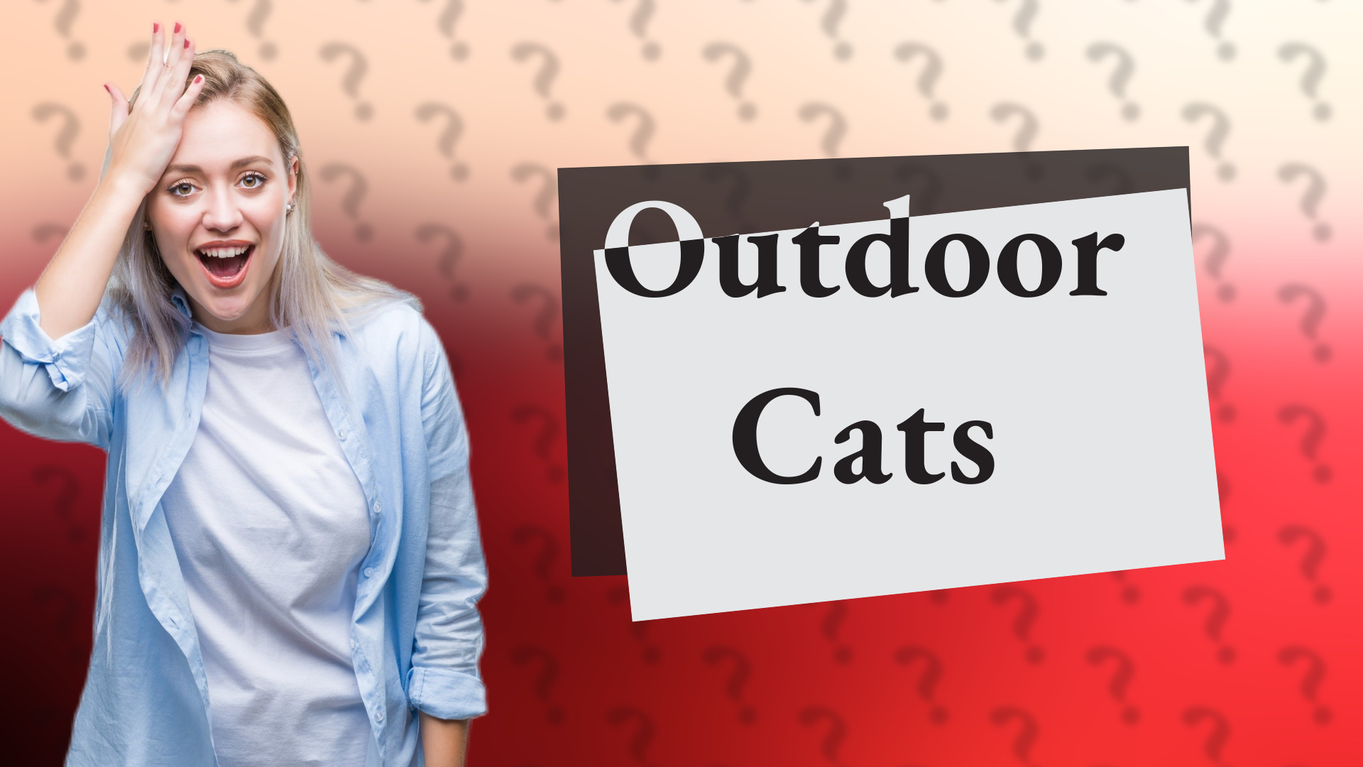 Outdoor Cats