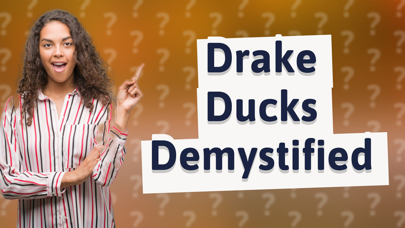 Drake Ducks Demystified