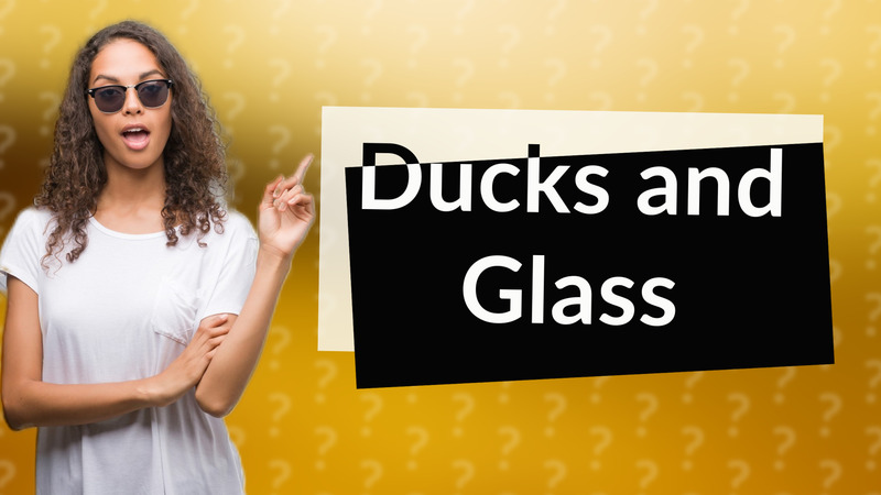 Ducks and Glass