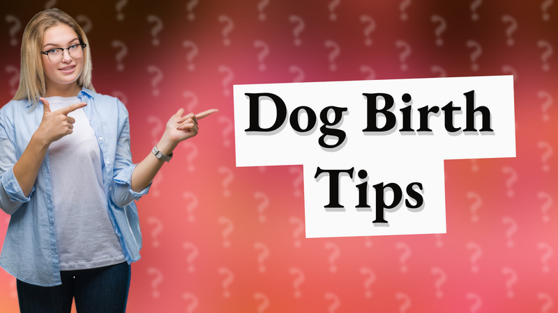 Dog Birth Tips