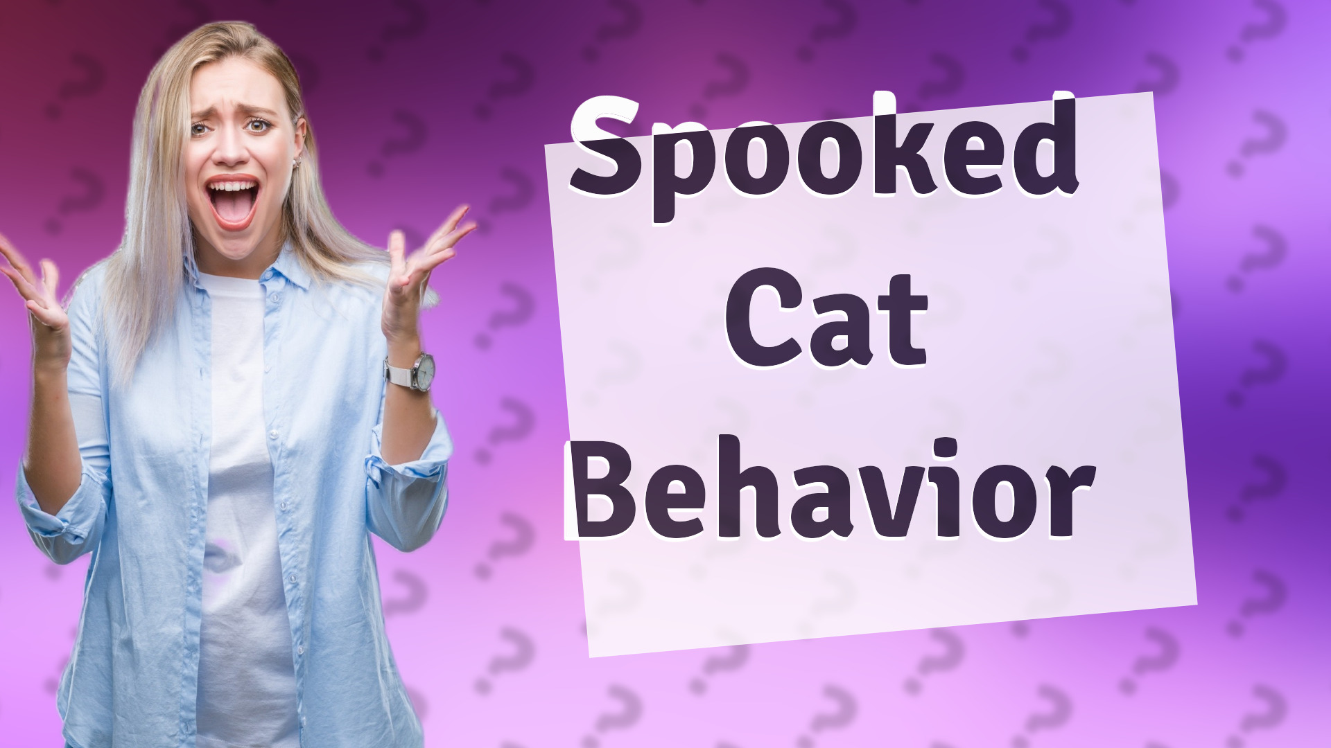 Spooked Cat Behavior