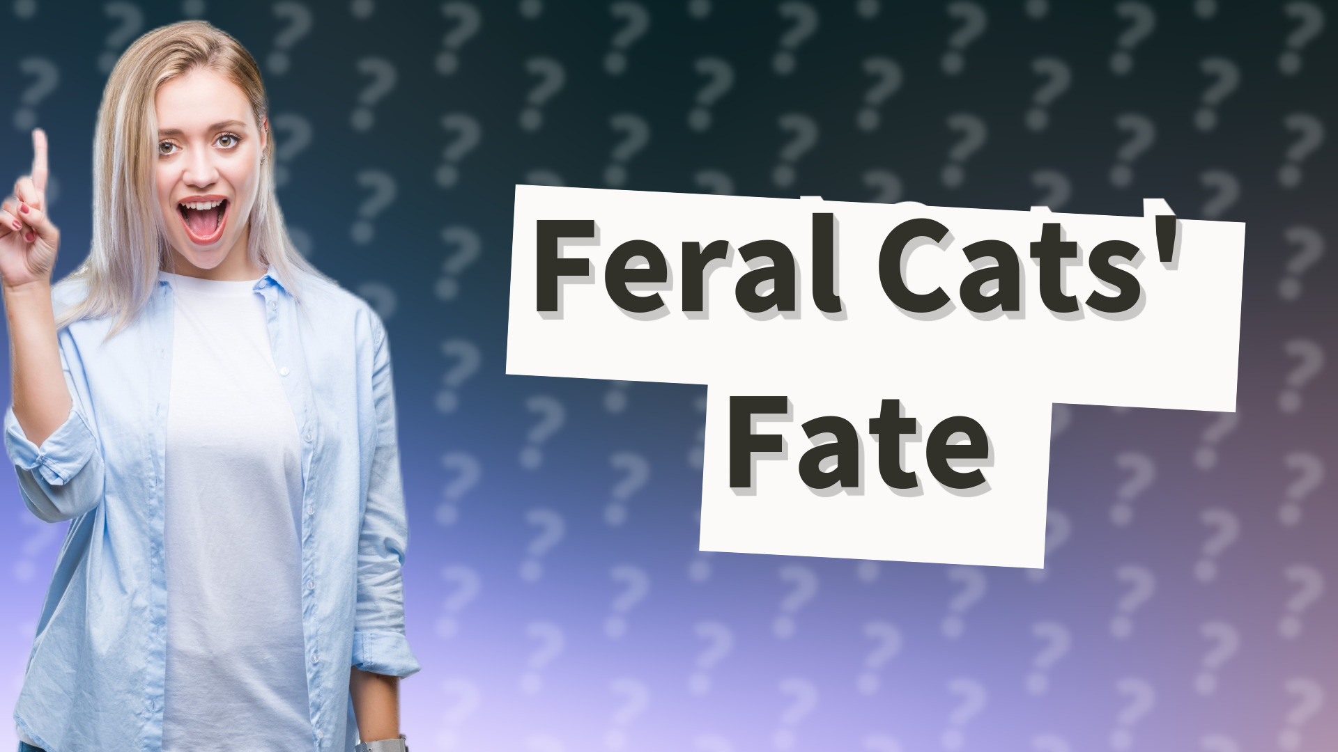 Feral Cats' Fate