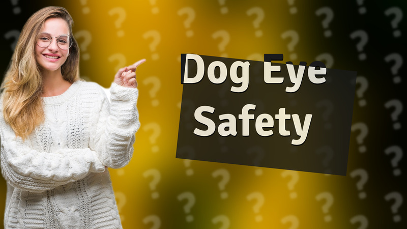 Dog Eye Safety