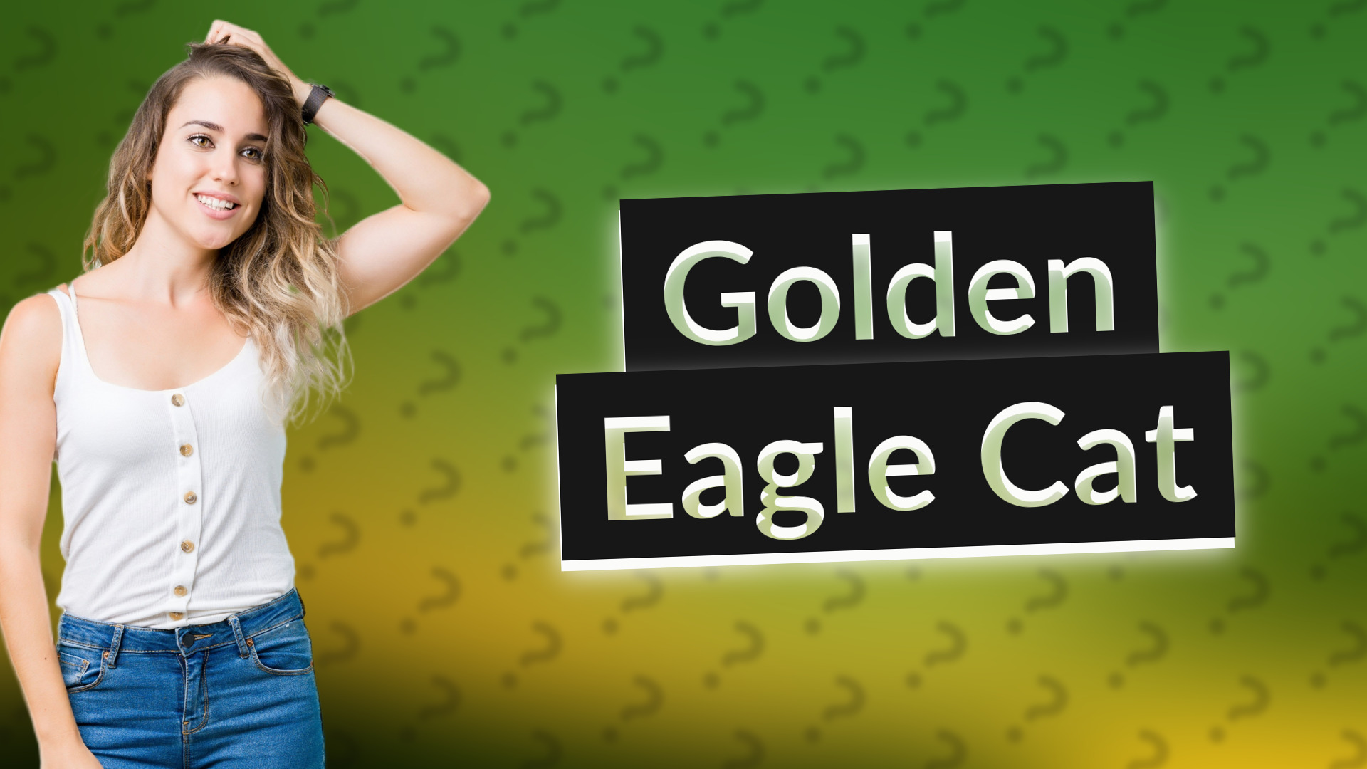Golden Eagle Cat