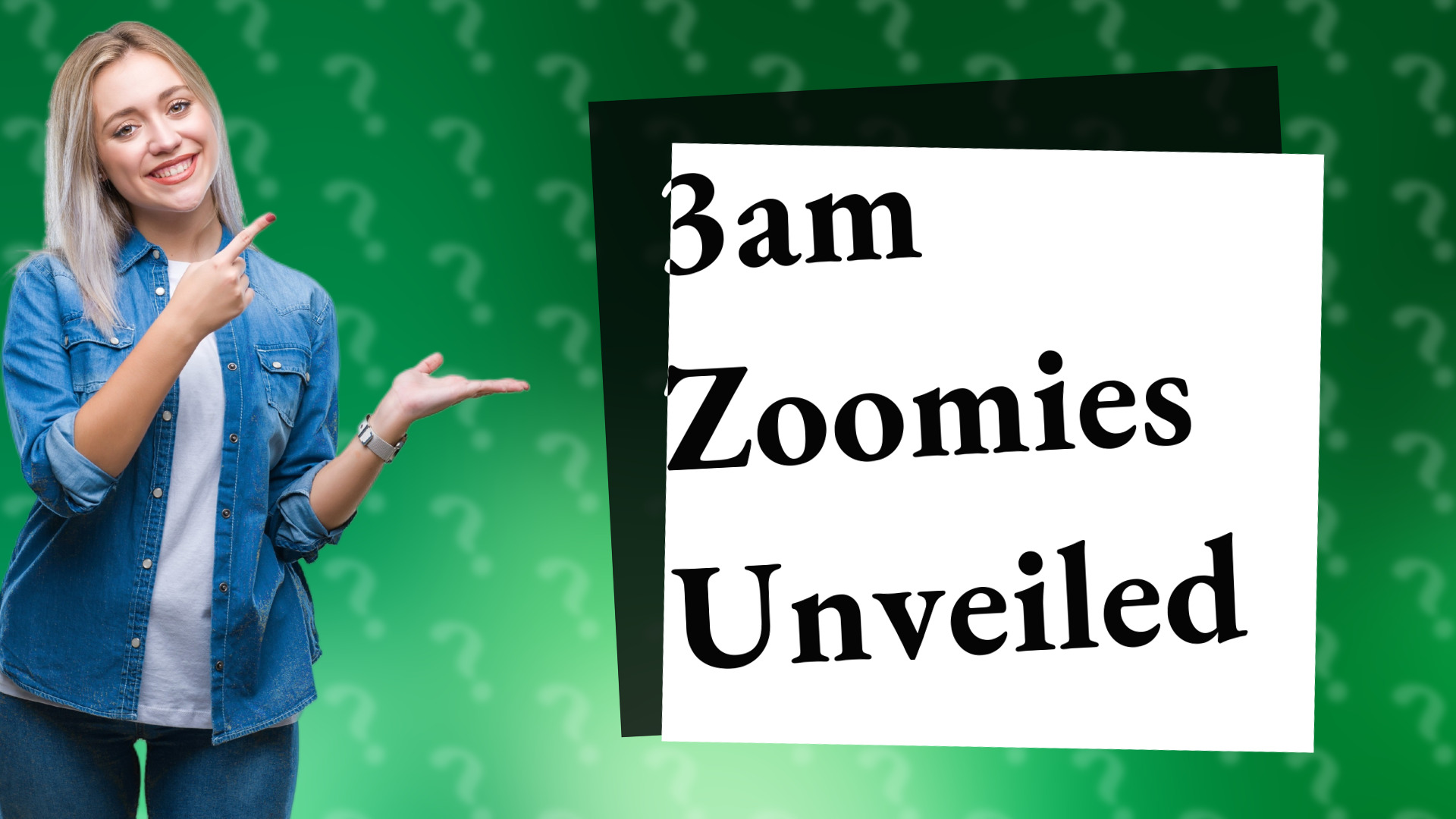 3am Zoomies Unveiled