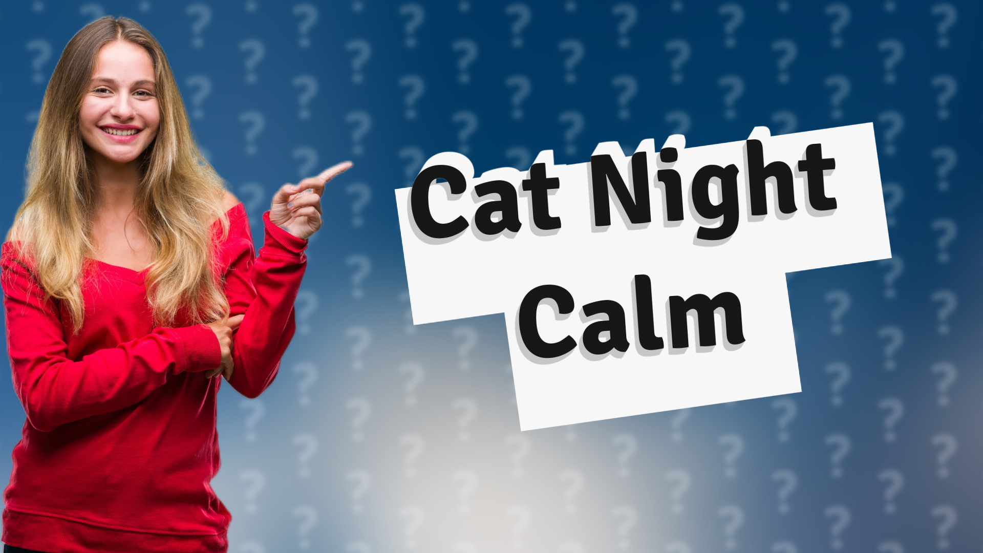 Cat Night Calm