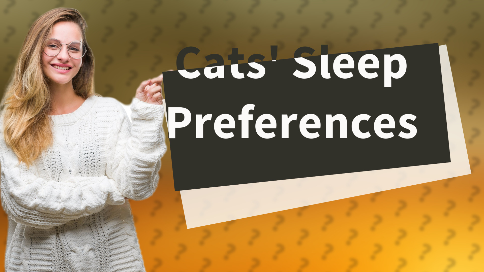 Cats' Sleep Preferences