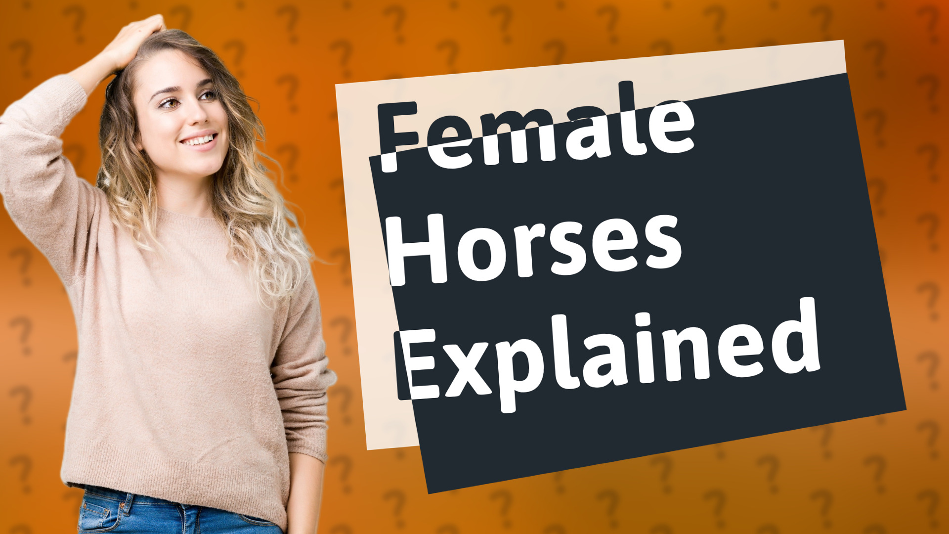 Female Horses Explained