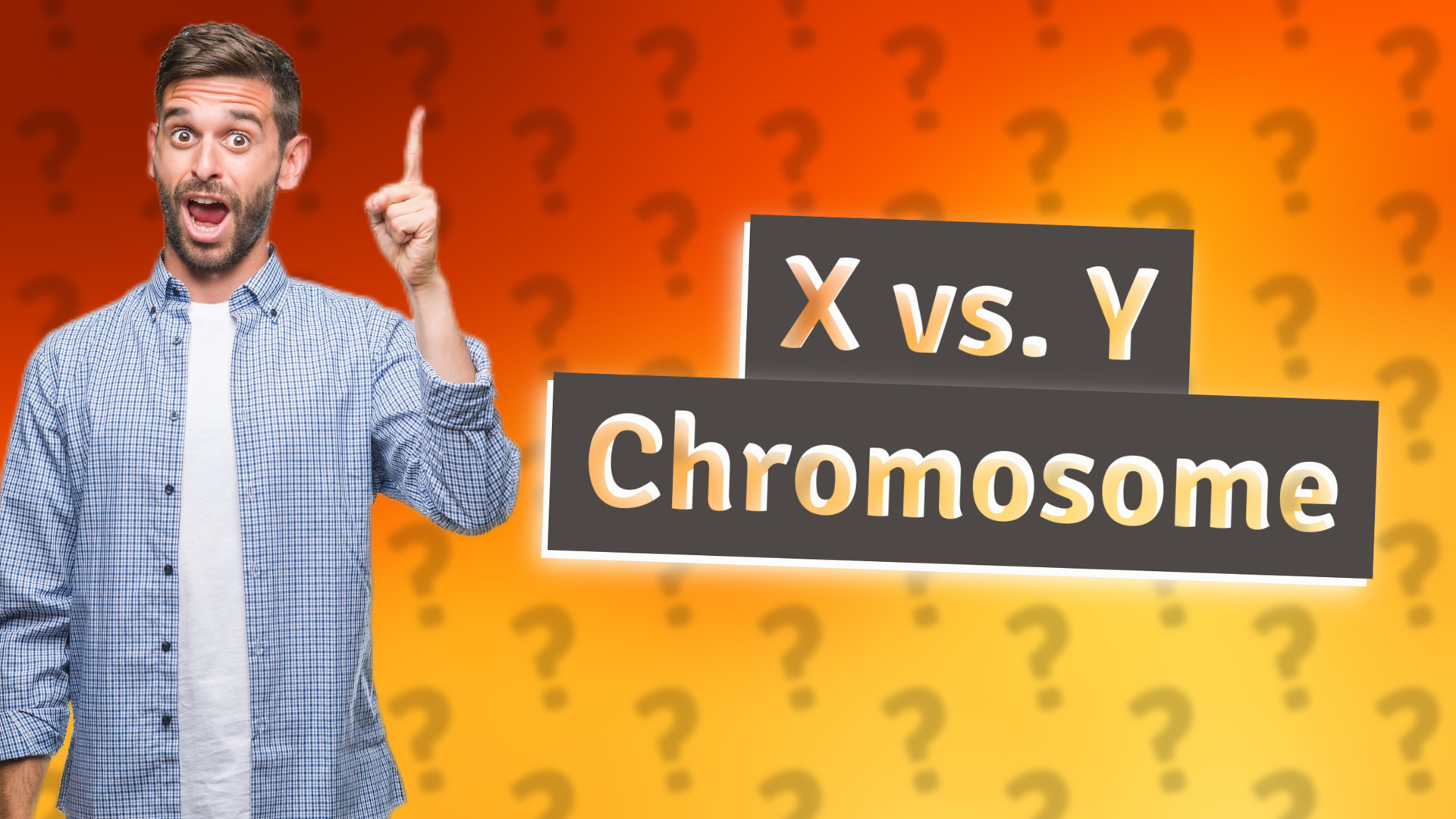 X vs. Y Chromosome