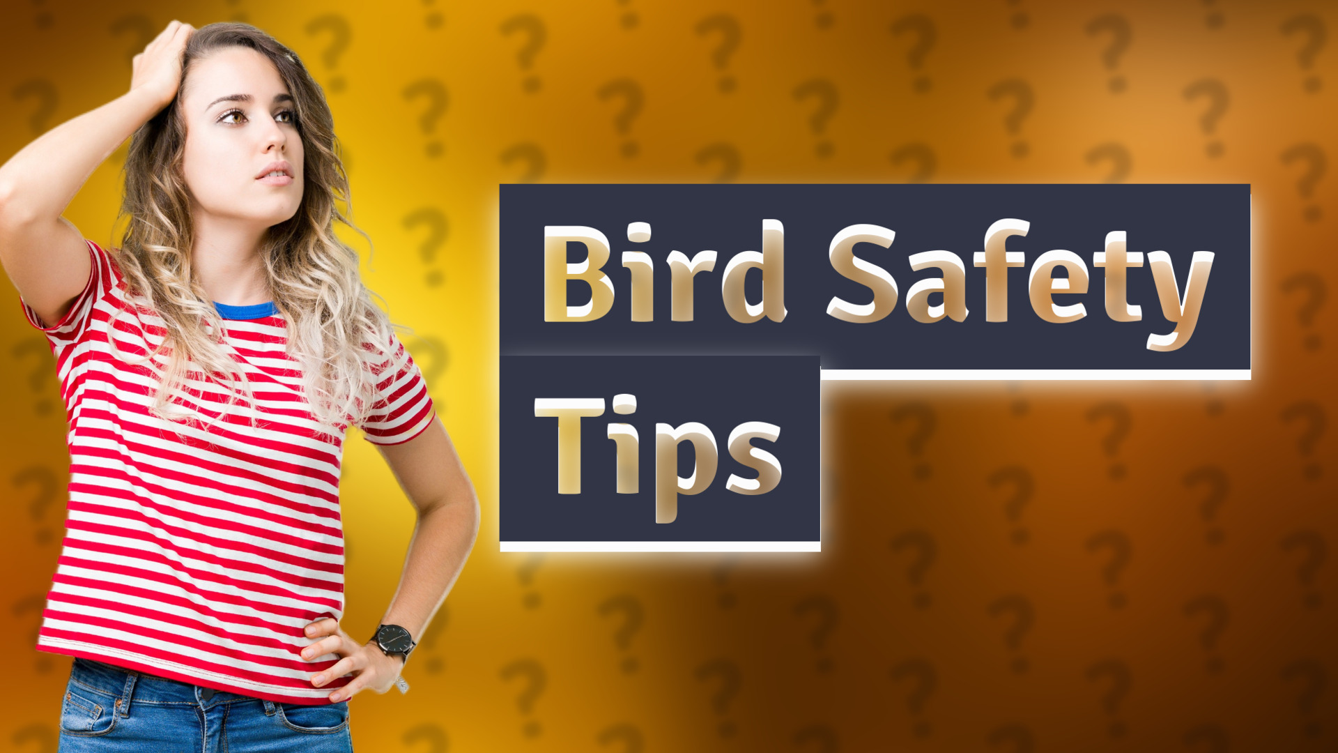 Bird Safety Tips