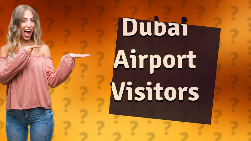 Dubai Airport Visitors