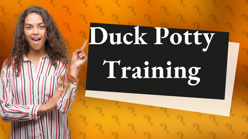 Duck Potty Training