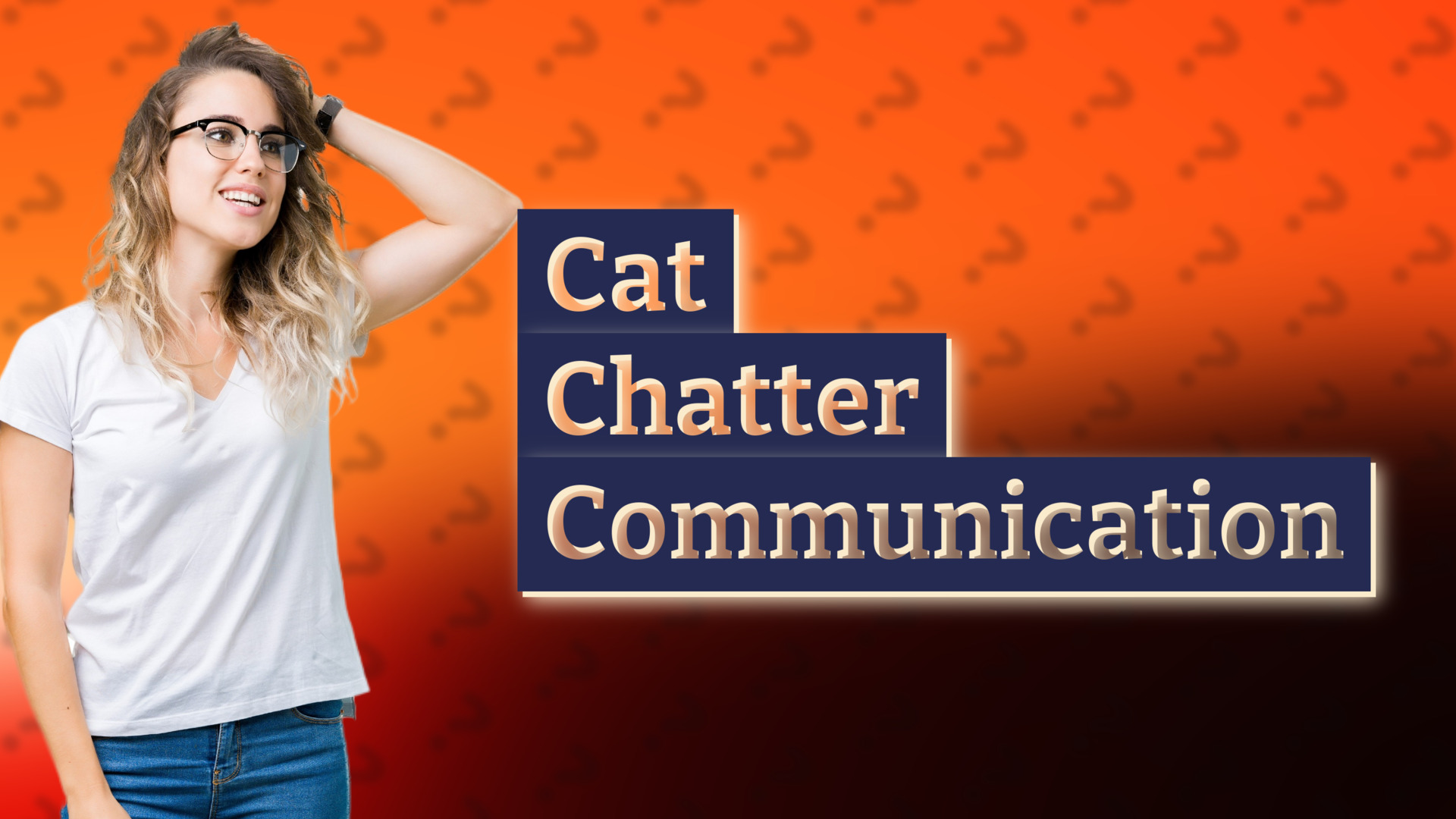 Cat Chatter Communication