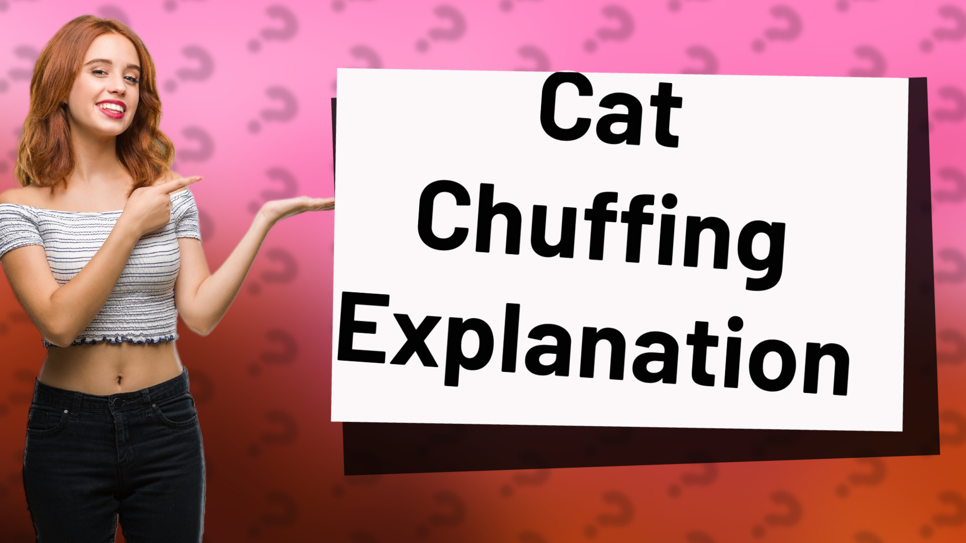 Cat Chuffing Explanation