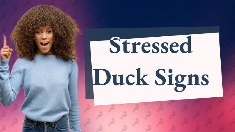Stressed Duck Signs