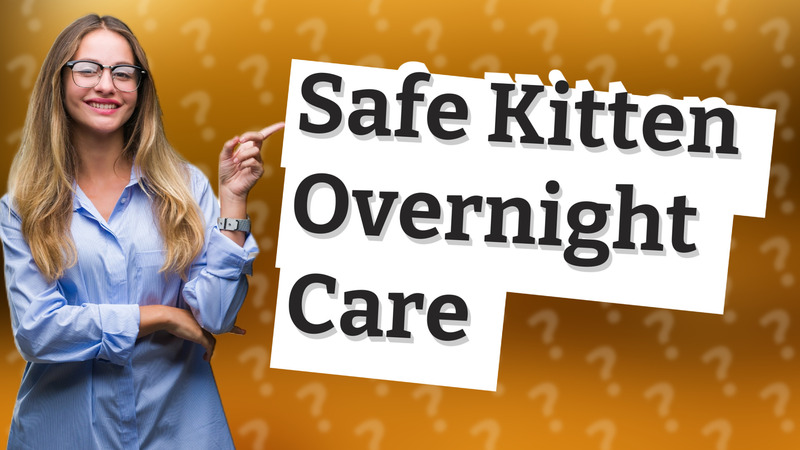 Safe Kitten Overnight Care
