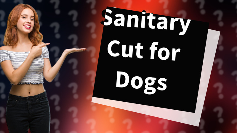 Sanitary Cut for Dogs