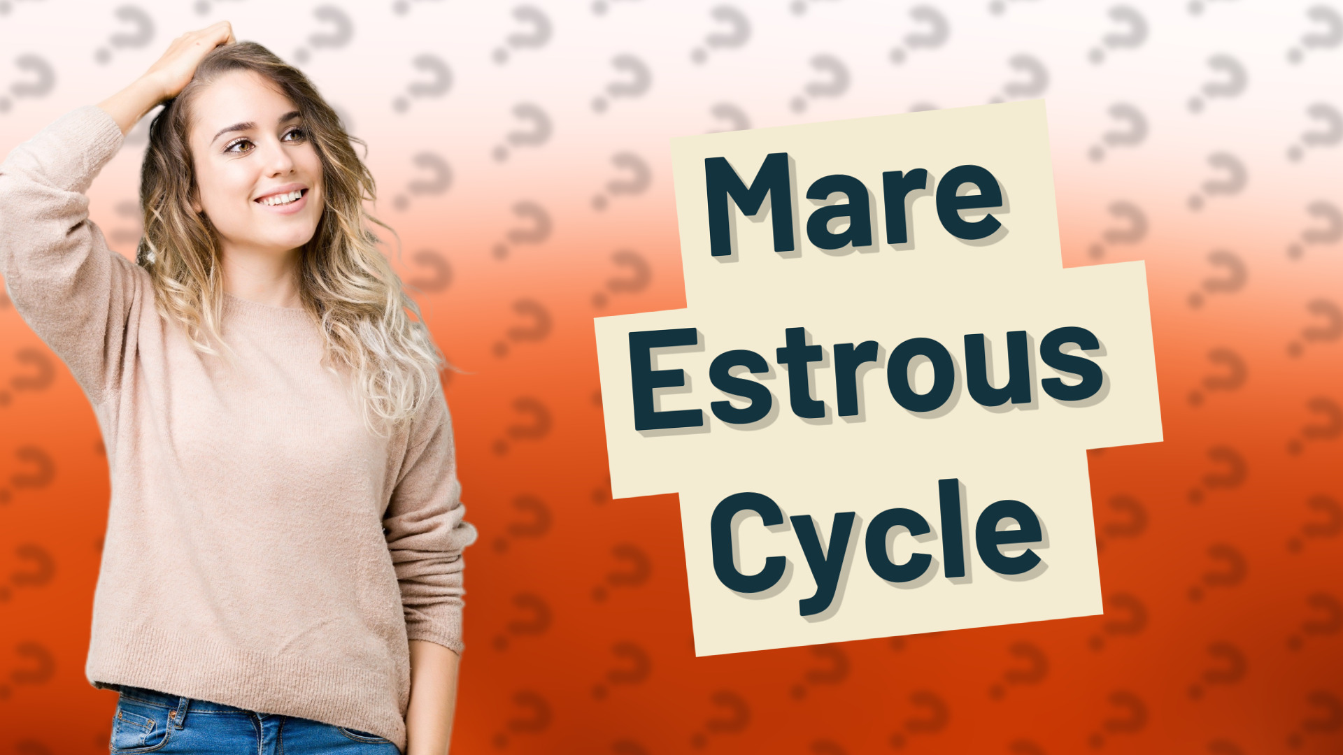 Mare Estrous Cycle