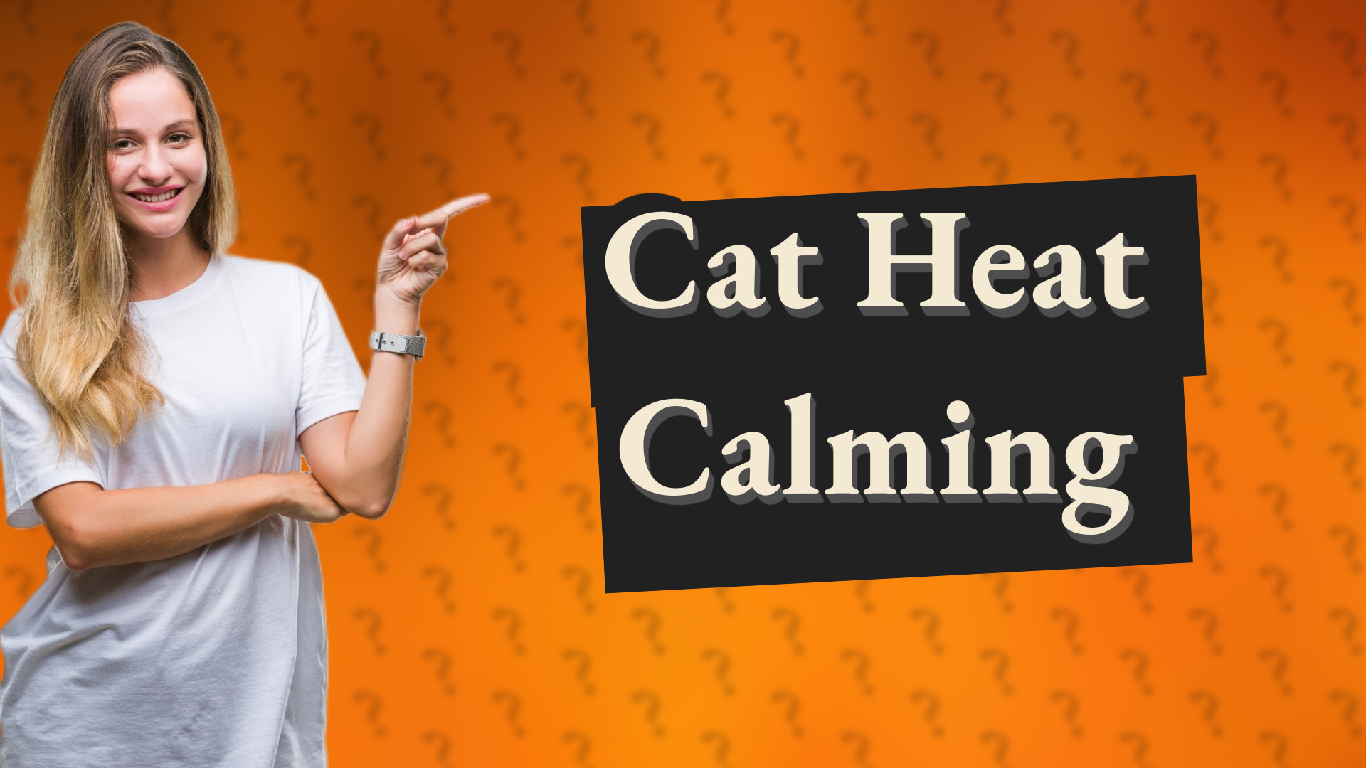 Cat Heat Calming