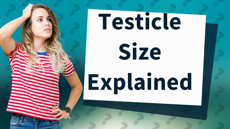 Testicle Size Explained