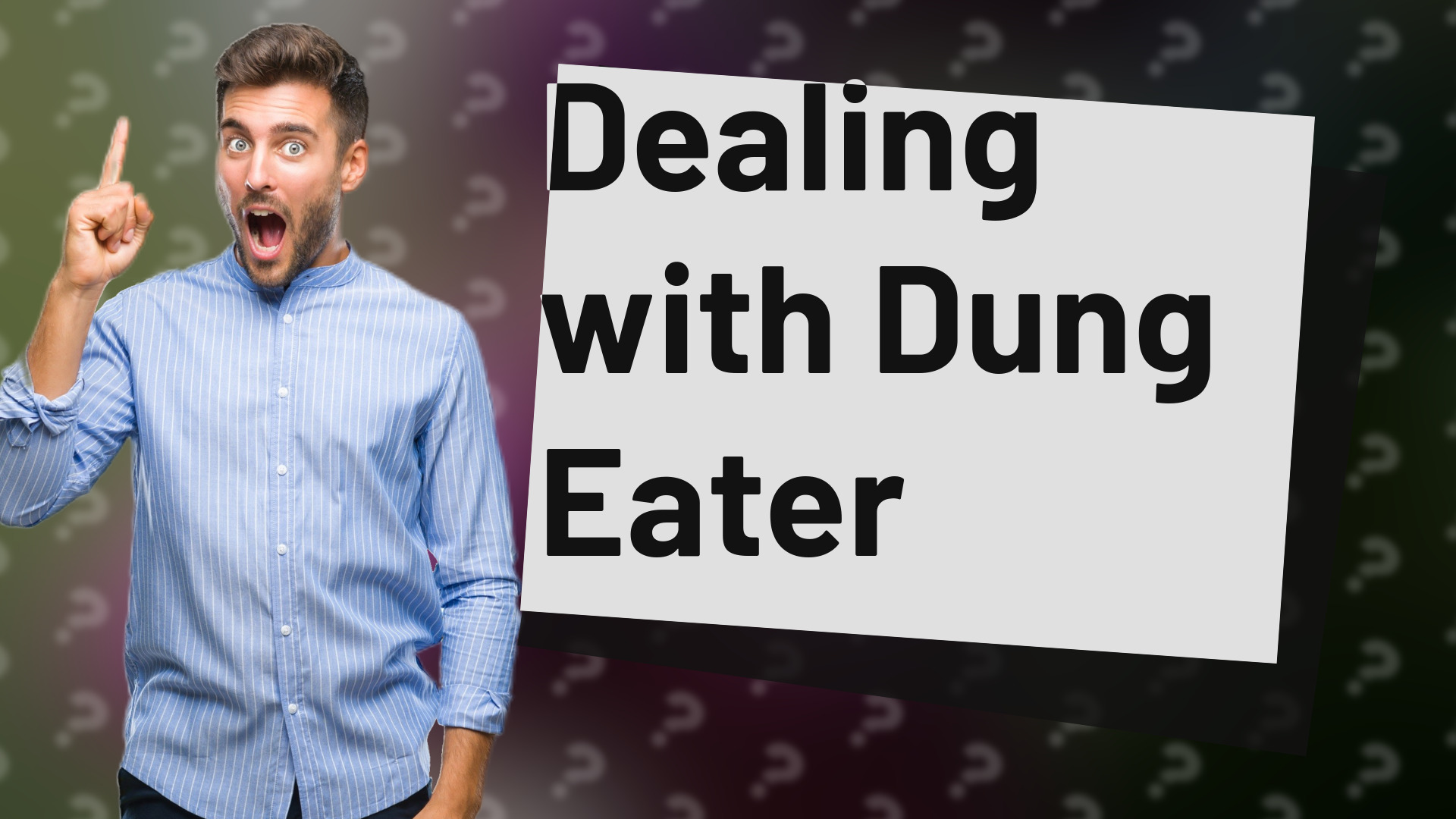 Dealing with Dung Eater