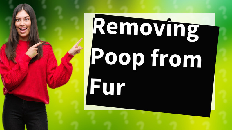 Removing Poop from Fur
