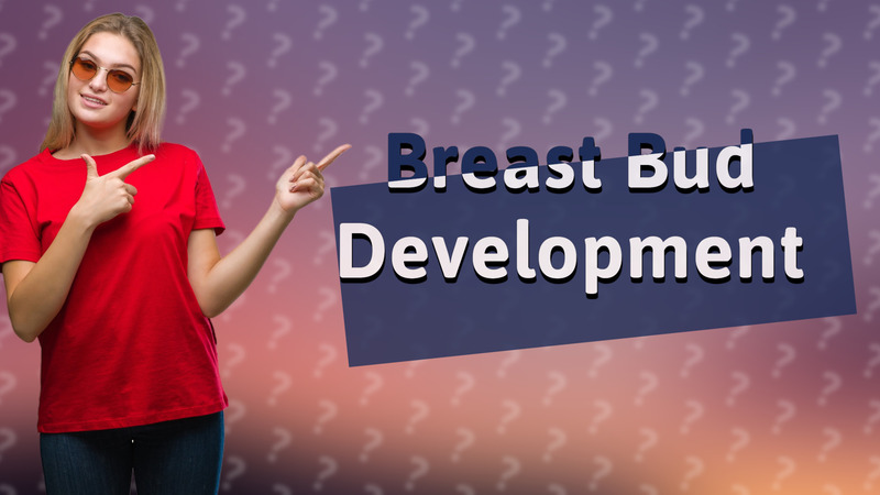 Breast Bud Development