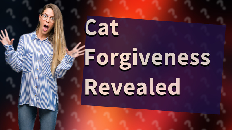Cat Forgiveness Revealed