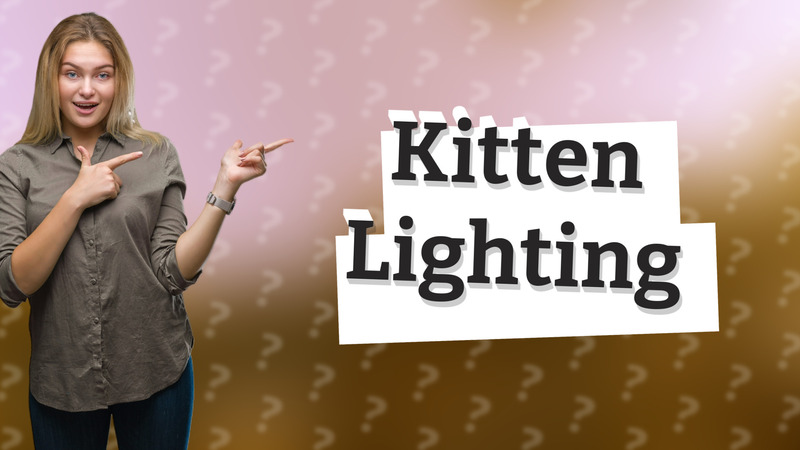 Kitten Lighting