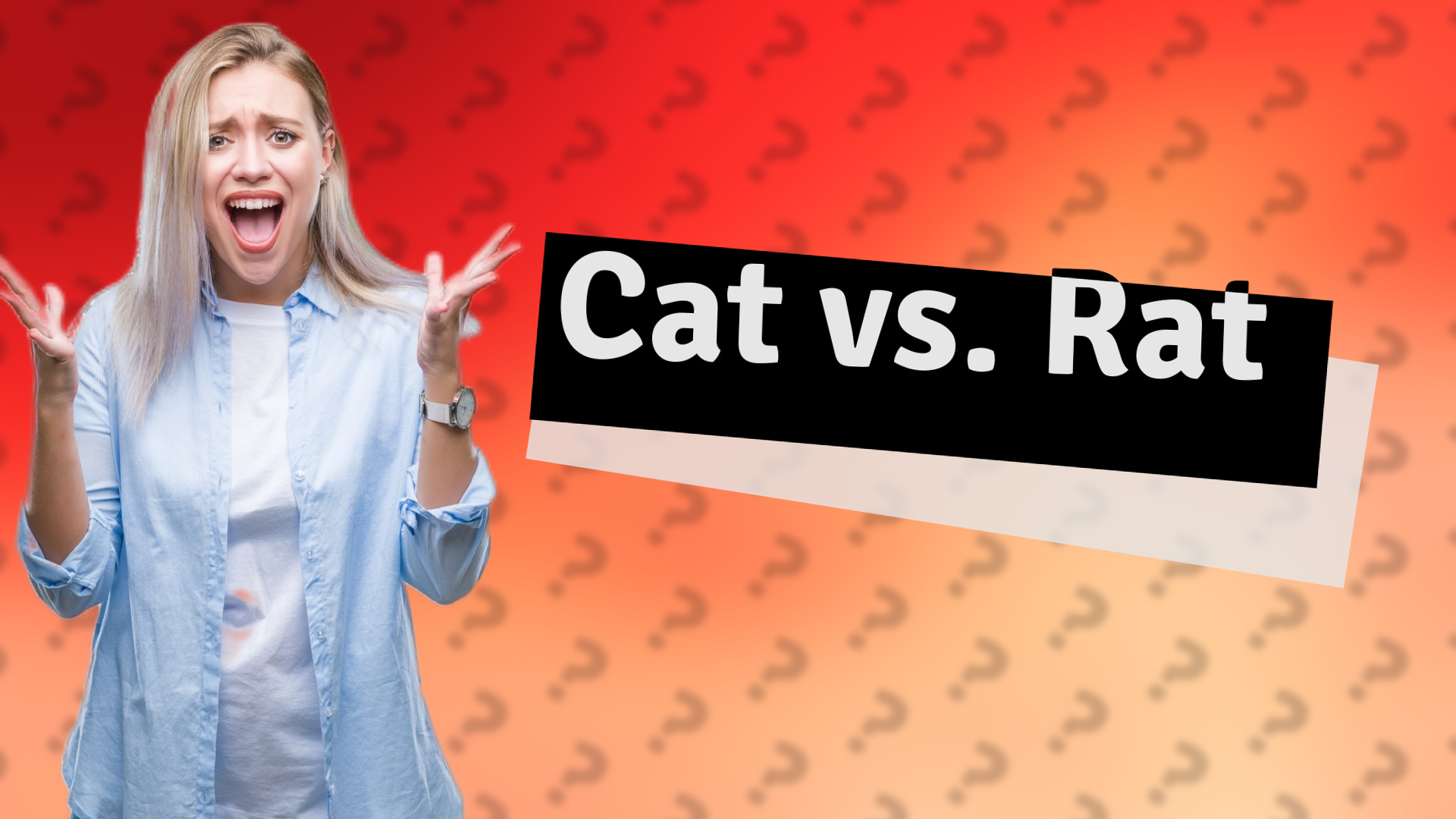 Cat vs. Rat