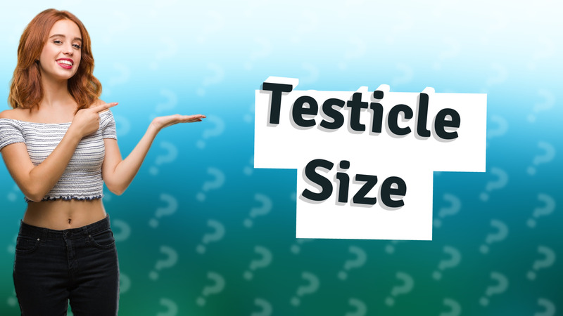Testicle Size