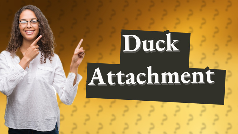 Duck Attachment