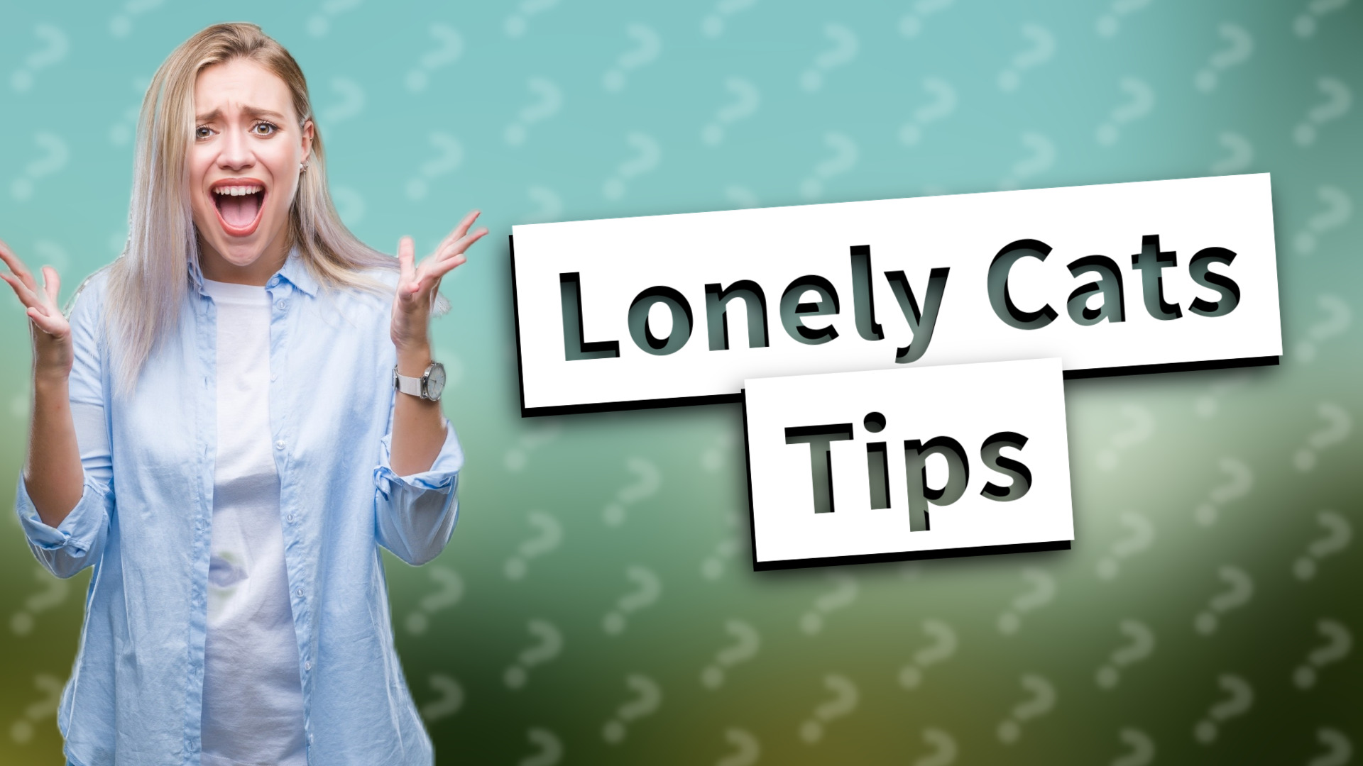 Lonely Cats Tips