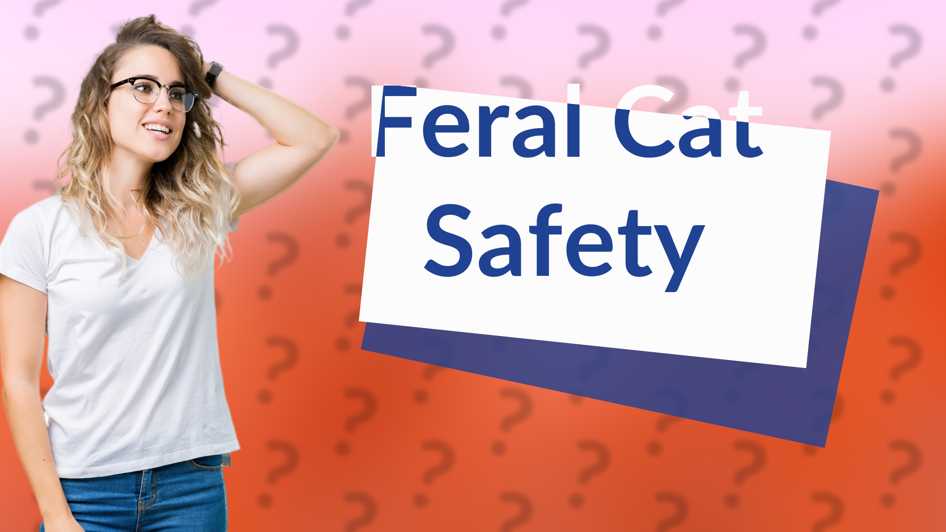 Feral Cat Safety