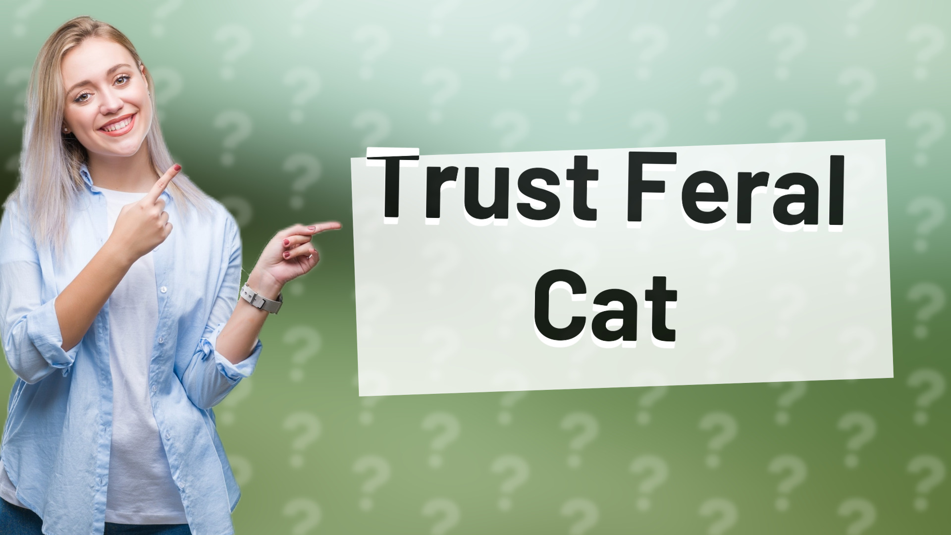 Trust Feral Cat