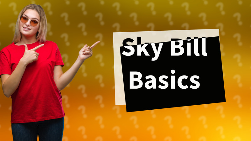 Sky Bill Basics