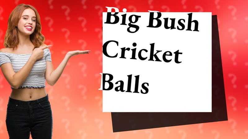 Big Bush Cricket Balls