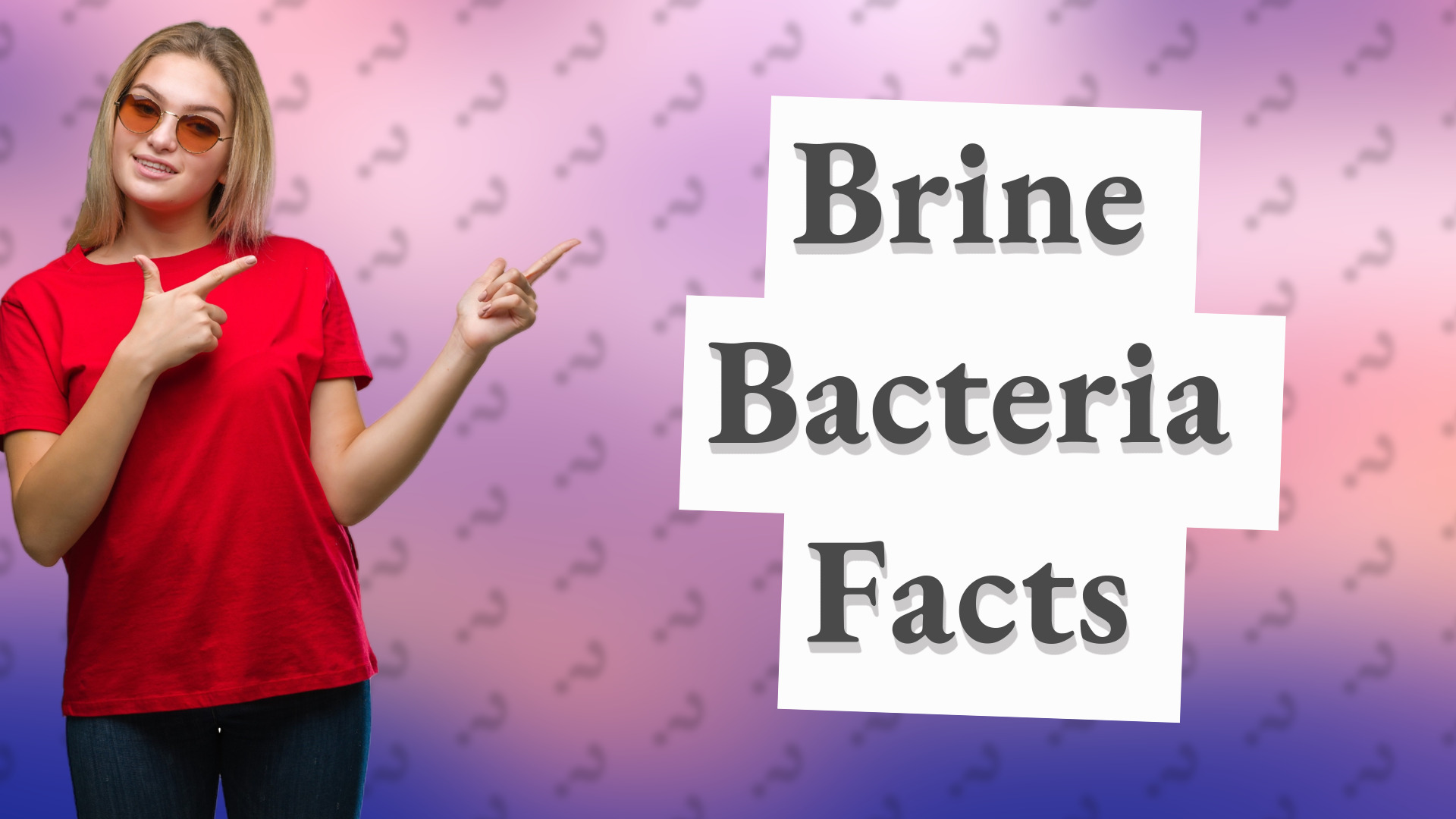 Brine Bacteria Facts