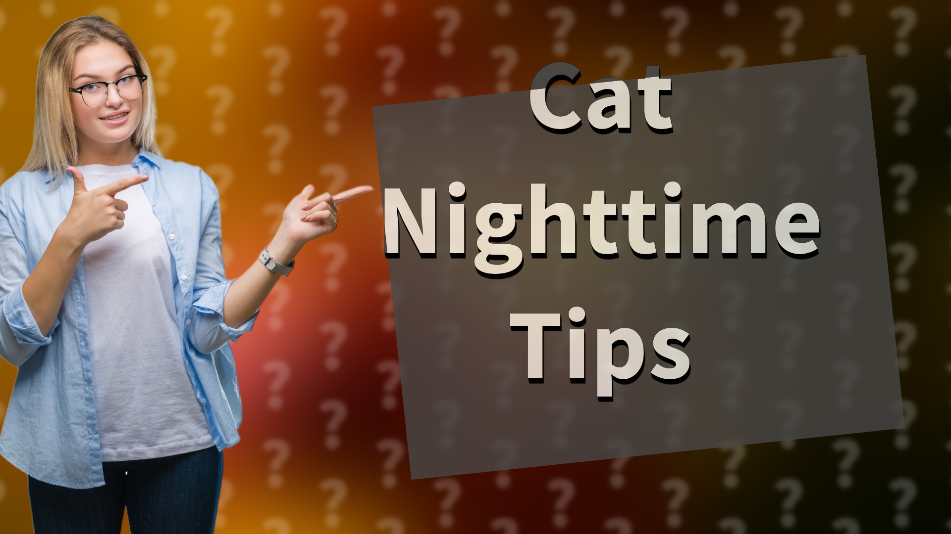 Cat Nighttime Tips