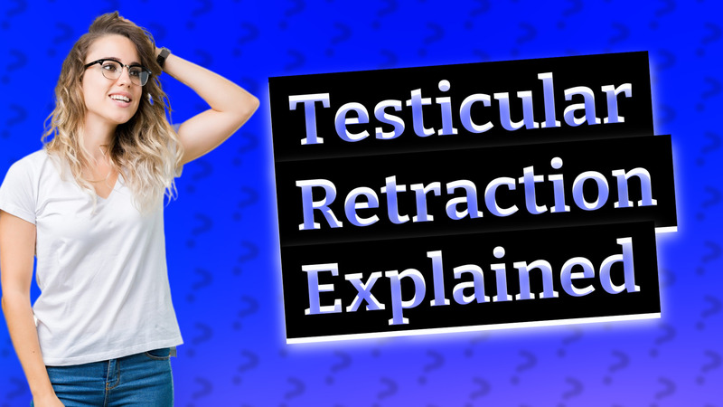 Testicular Retraction Explained