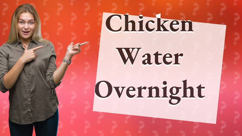 Chicken Water Overnight