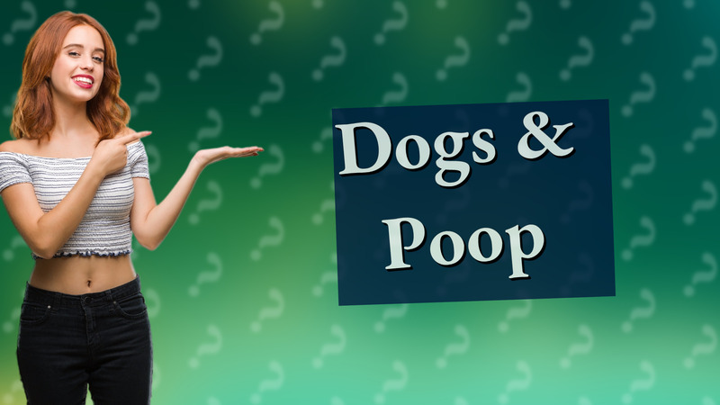 Dogs & Poop