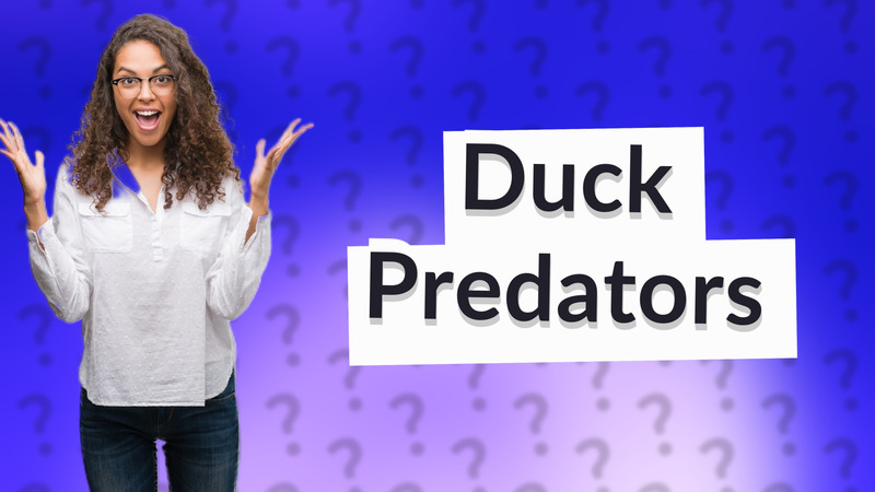 Duck Predators