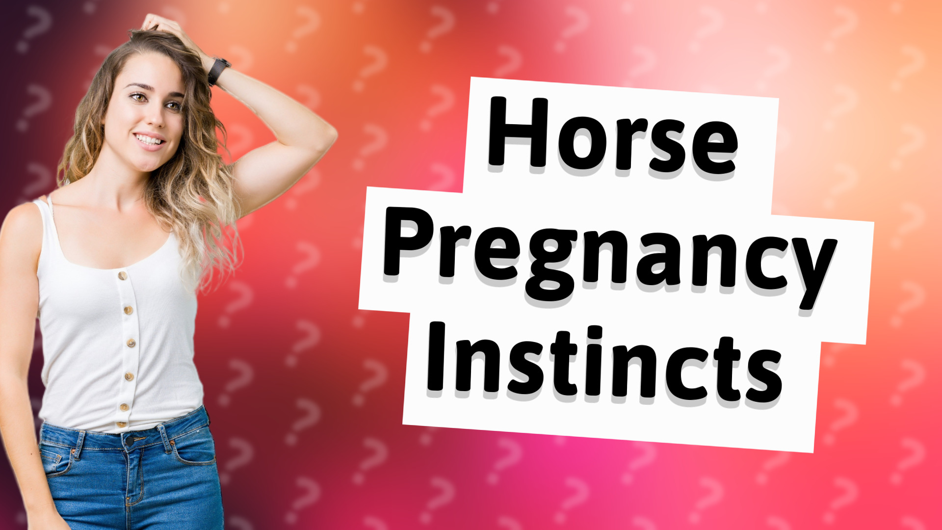 Horse Pregnancy Instincts