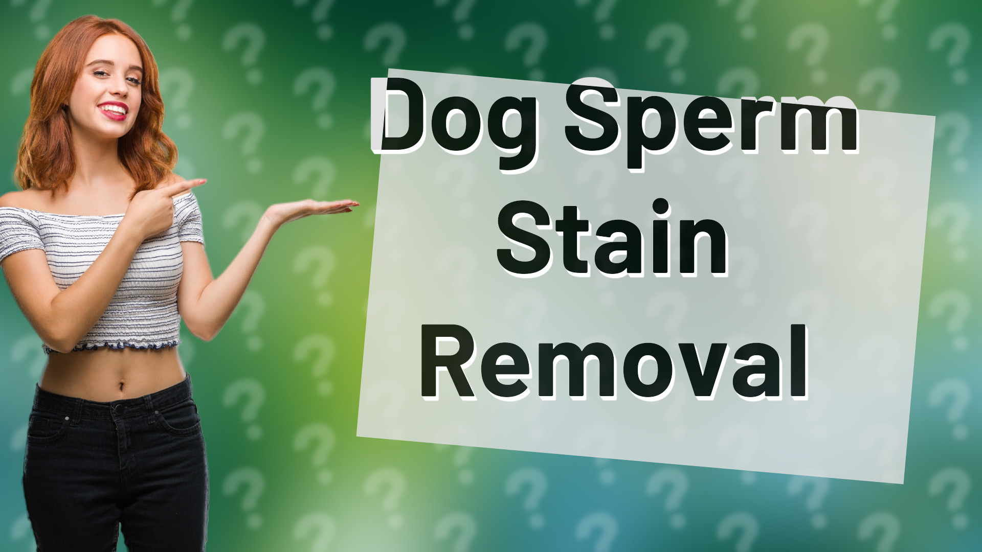 Dog Sperm Stain Removal