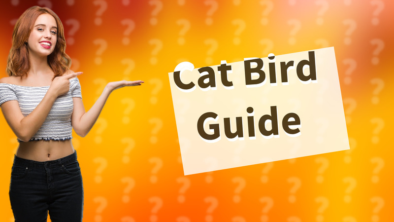 Cat Bird Guide
