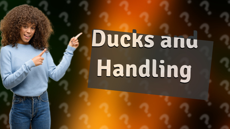 Ducks and Handling