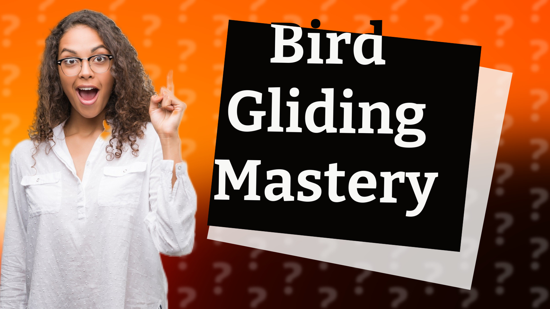 Bird Gliding Mastery