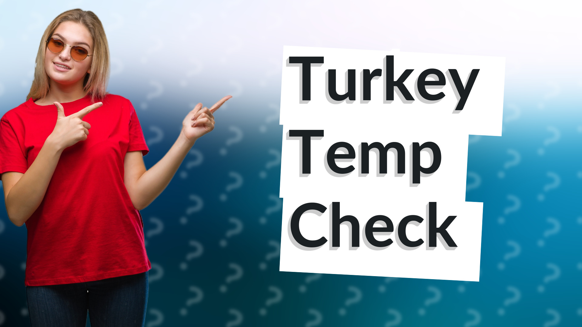 Turkey Temp Check