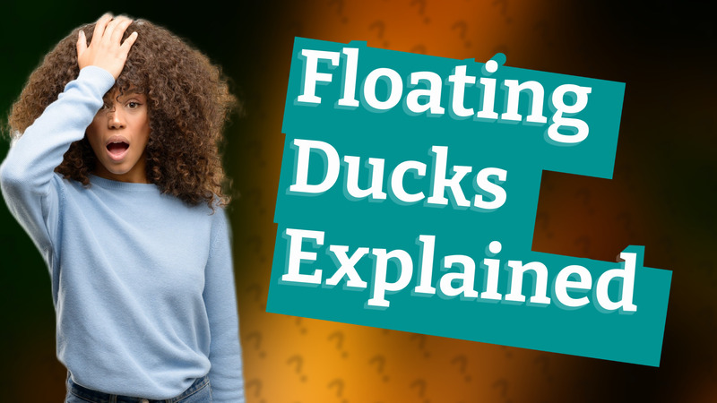 Floating Ducks Explained